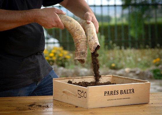 Pares Balta biodynamic